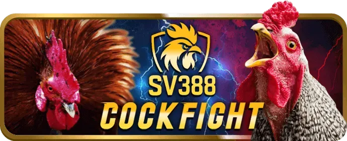 Mã hóa SSL